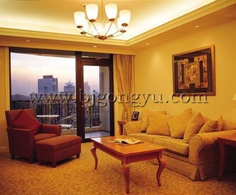 盛捷福景苑酒店式公寓福景苑客厅 盛捷福景苑酒店式公寓福景苑客厅